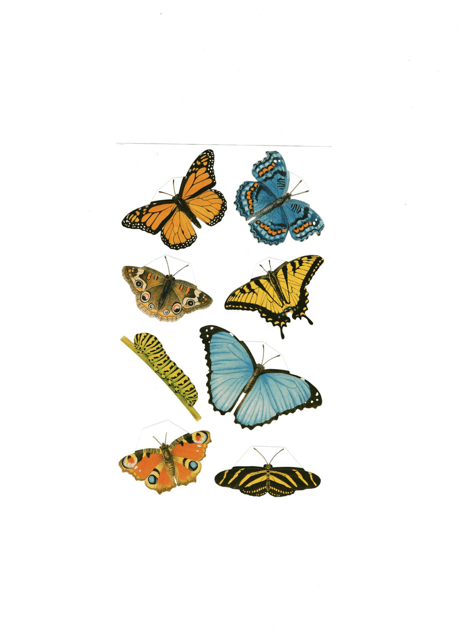 Butterflies Studio Line