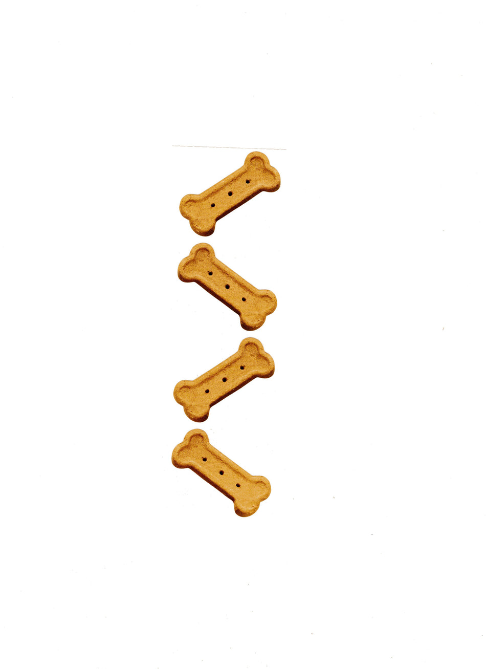 Dog Biscuit