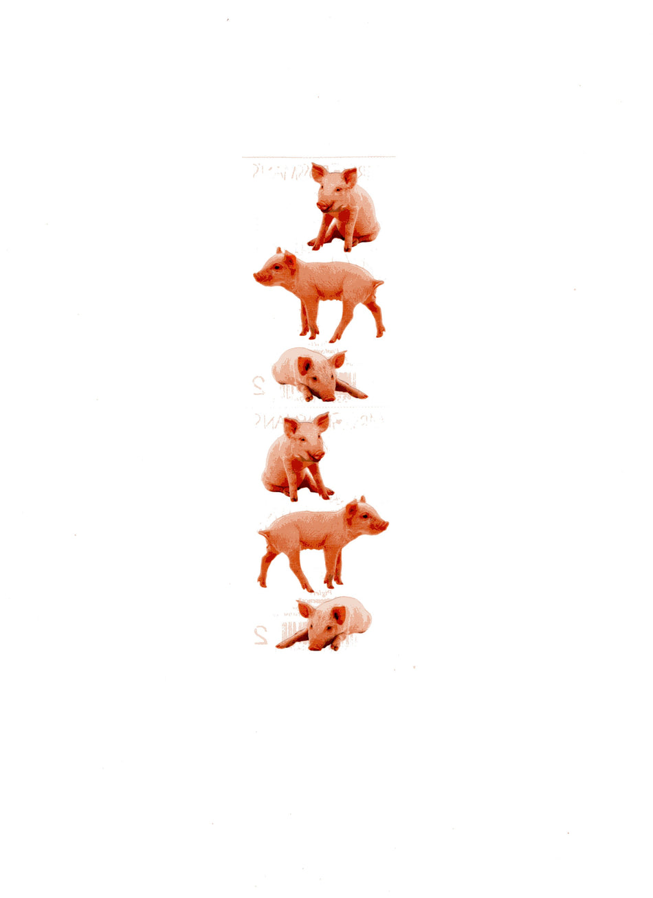 Piglets