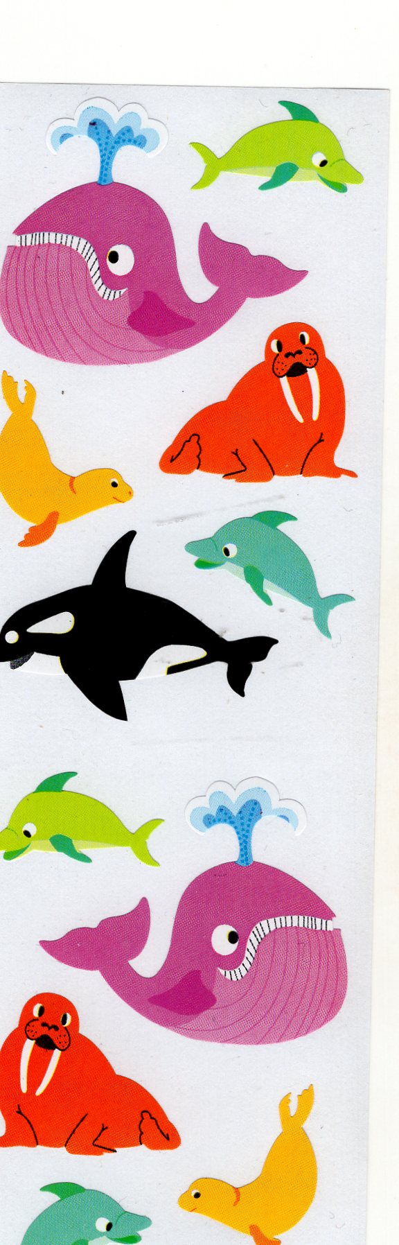 Chubby Marine Life