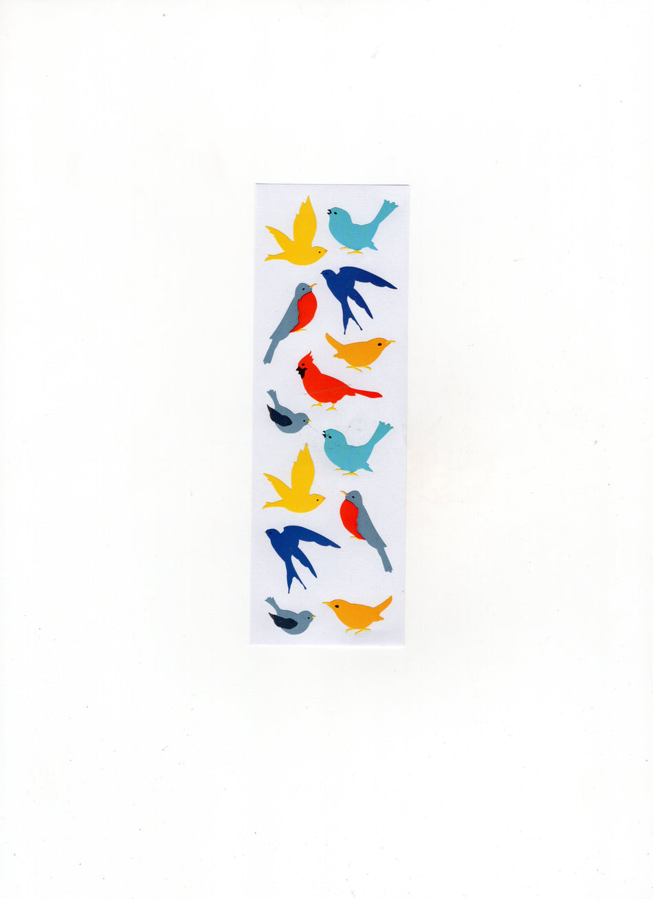 Club Birds
