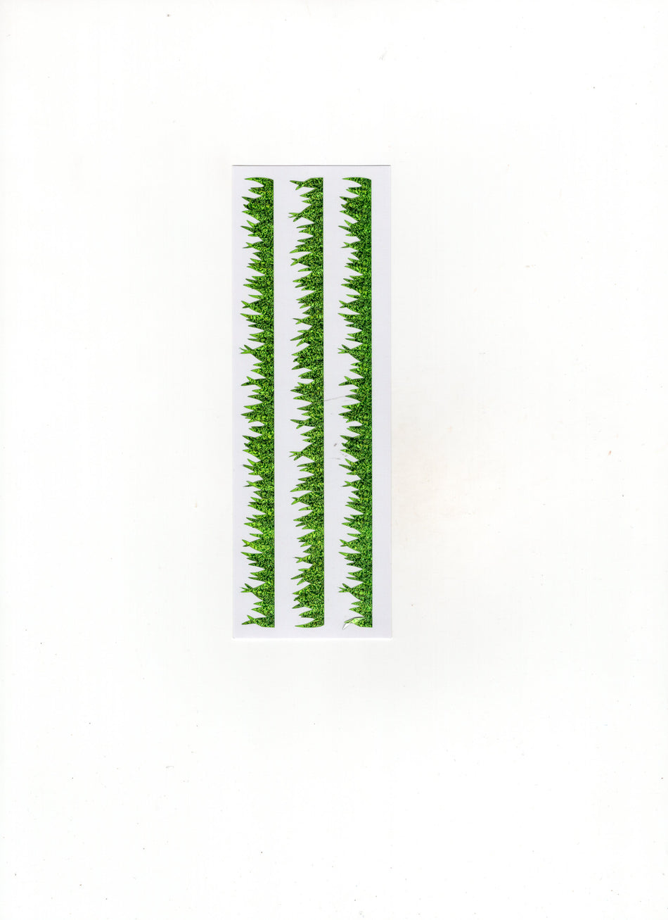 Club Grass
