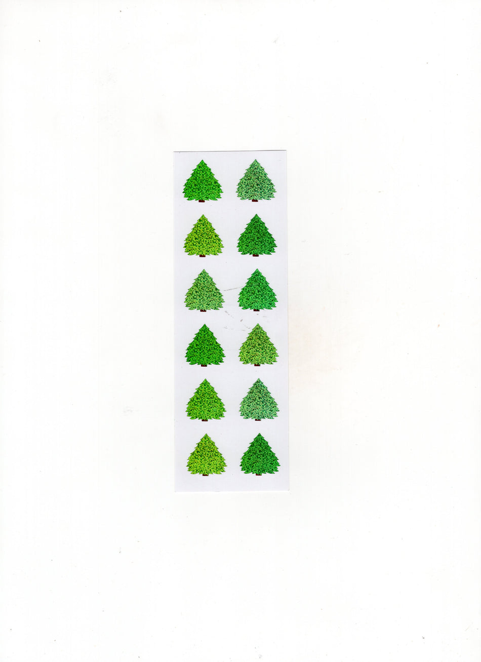 Evergreen Trees