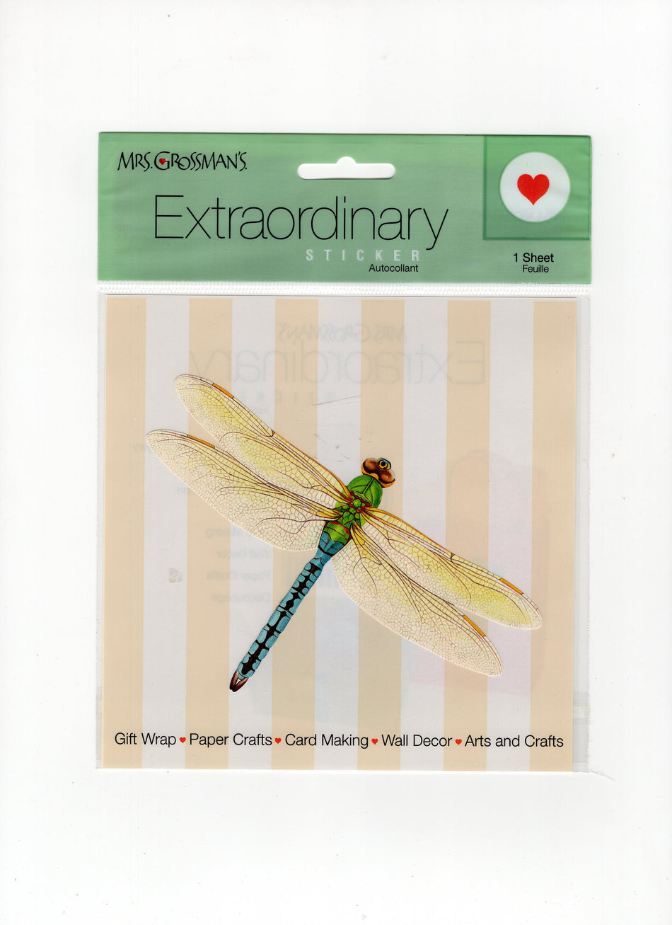 Extraordinary Dragonfly