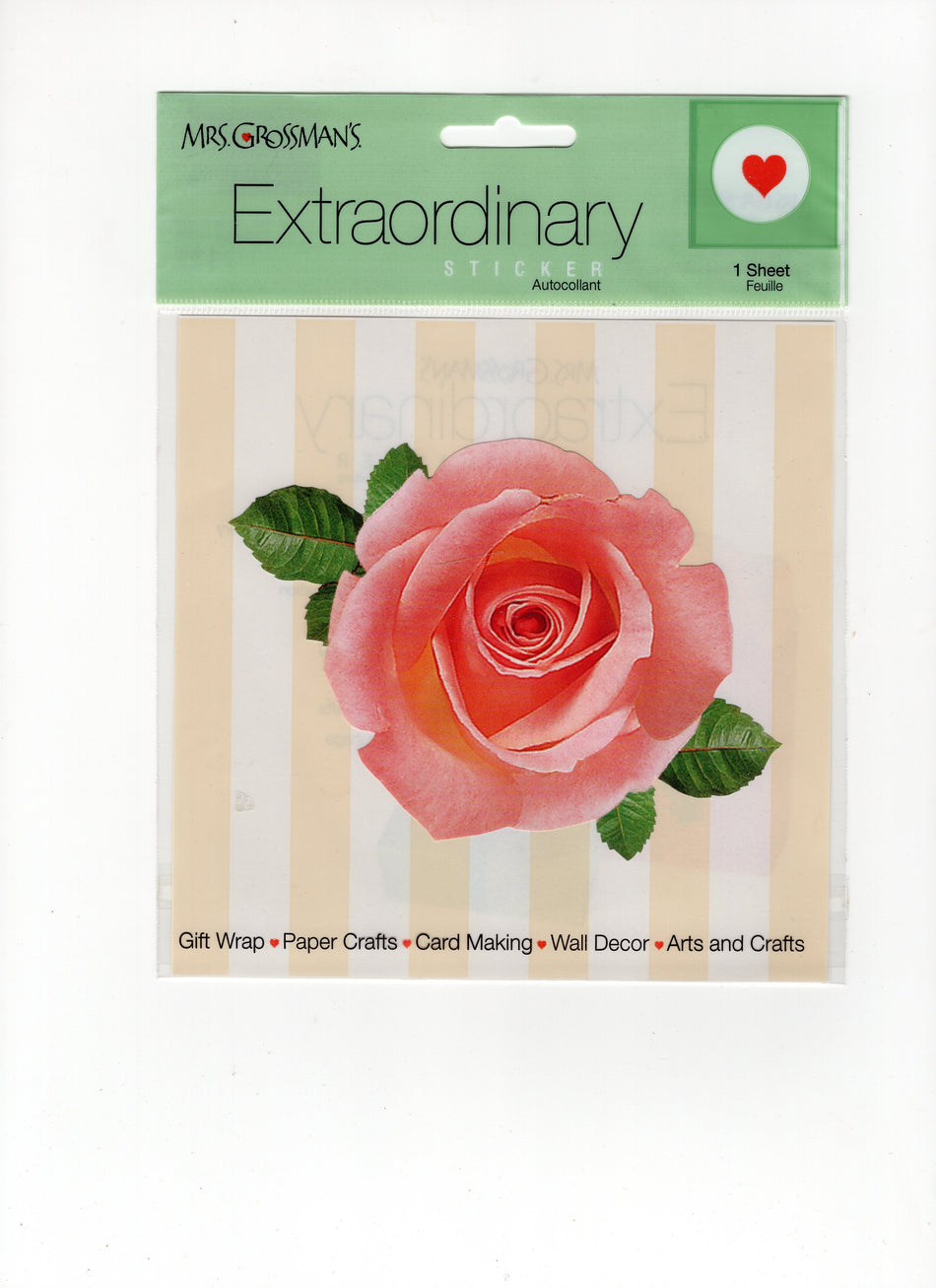 Extraordinary Rose