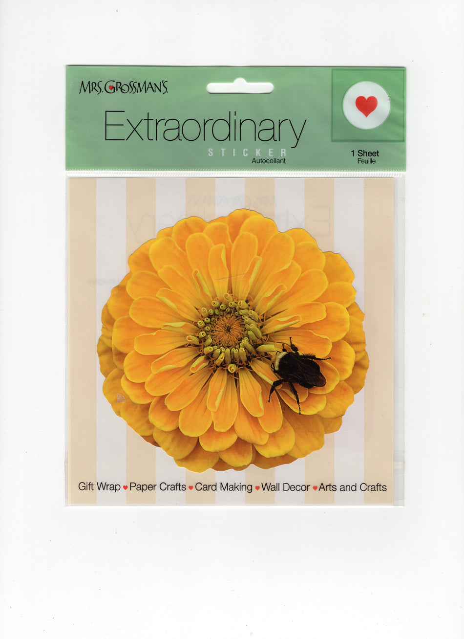 Extraordinary Zinnia