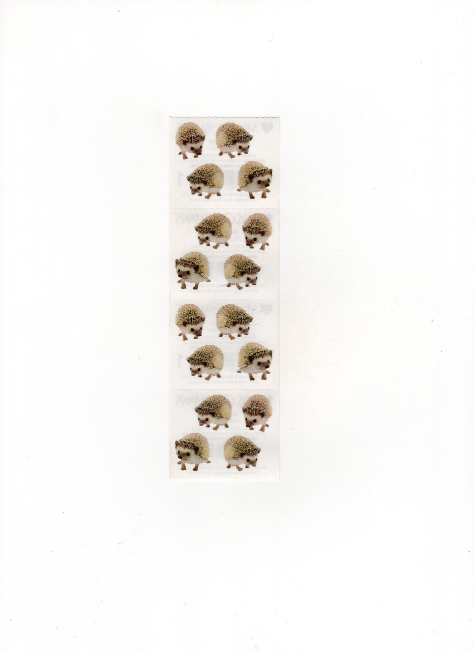 Hedgehogs