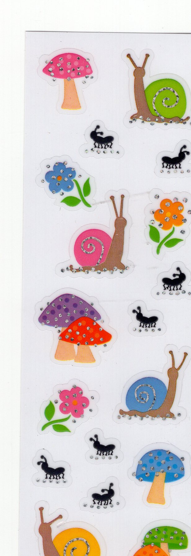 Snails & Mushrooms
