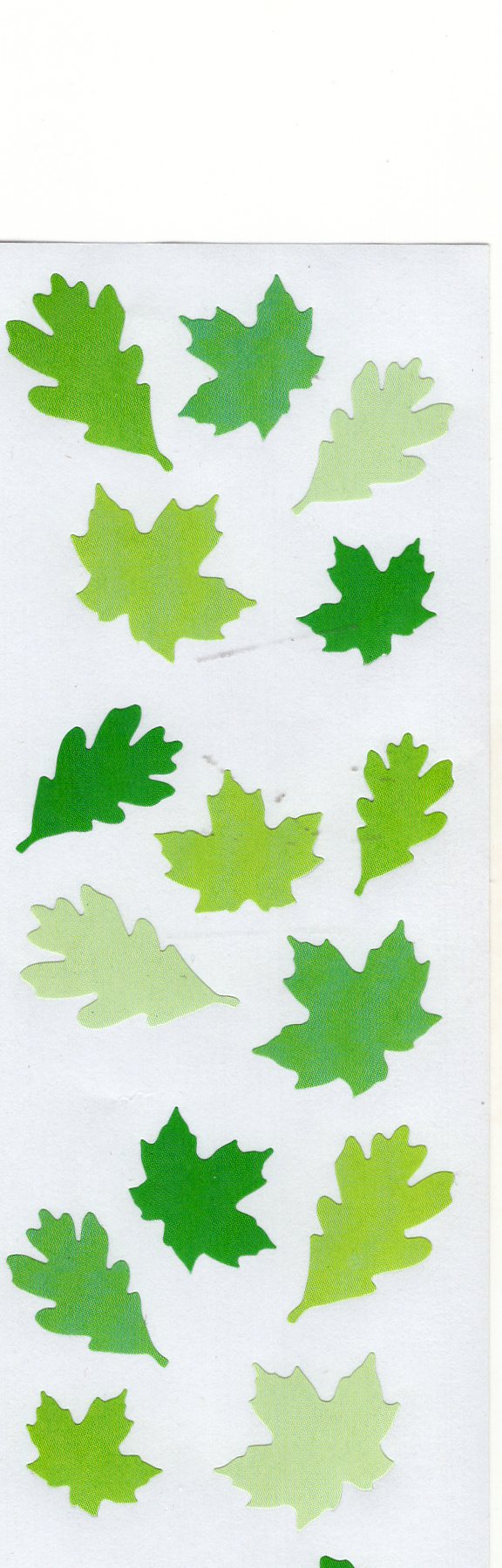 Spring Leaves