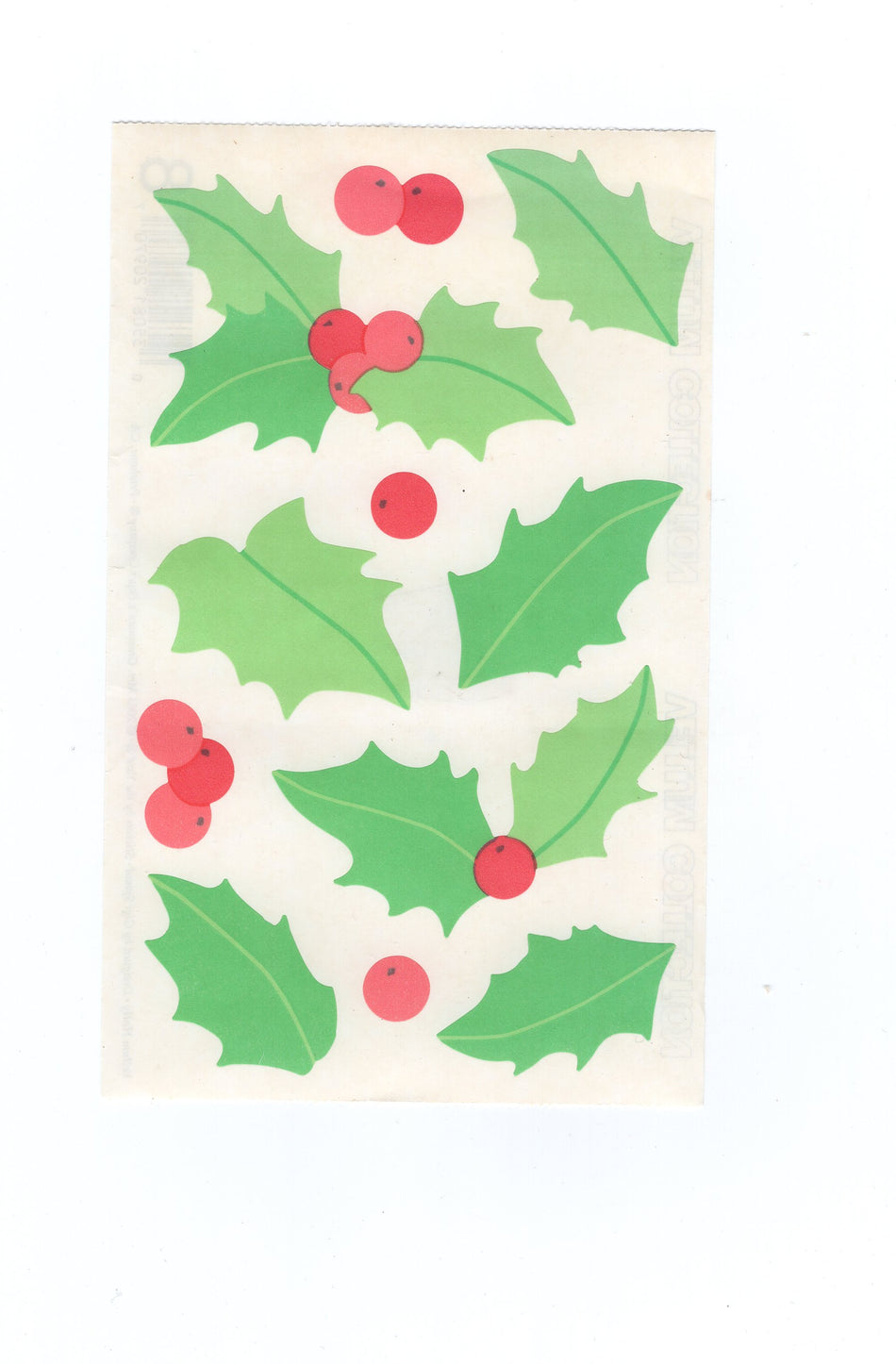 Vellum Holly