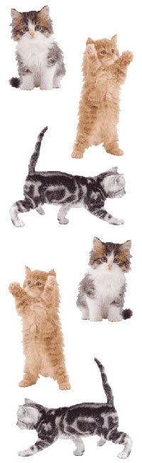 Kitties Stickers - Mrs. Grossman's