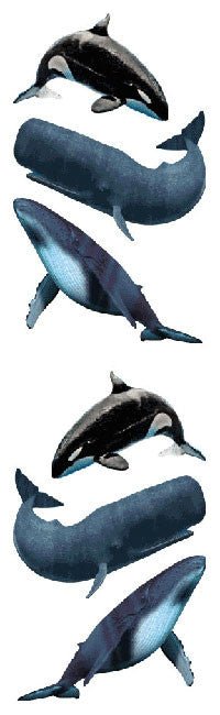 Whales Stickers - Mrs. Grossman's