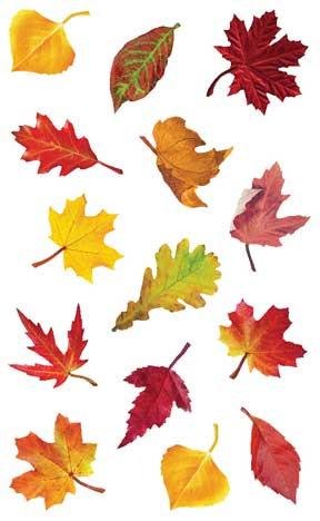 Falling Leaves Stickers - Mrs. Grossman's