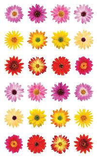 Flowers By the Dozen Stickers - Mrs. Grossman's